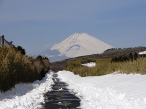 富士山