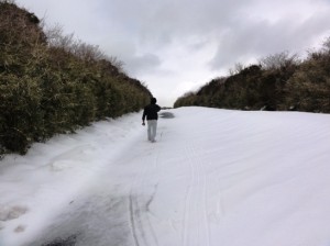 芦ノ湖スカイライン