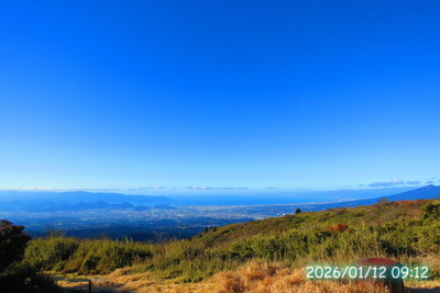 店内からの景色