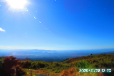 店内からの景色