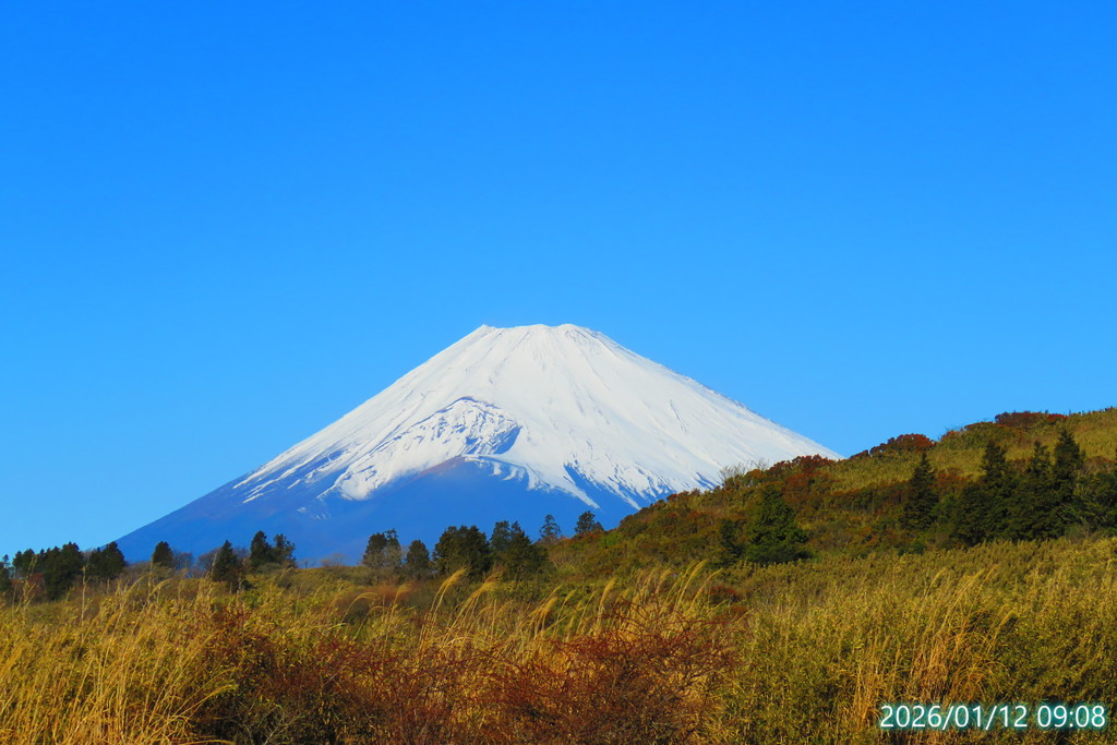 クルマ好き集まれ