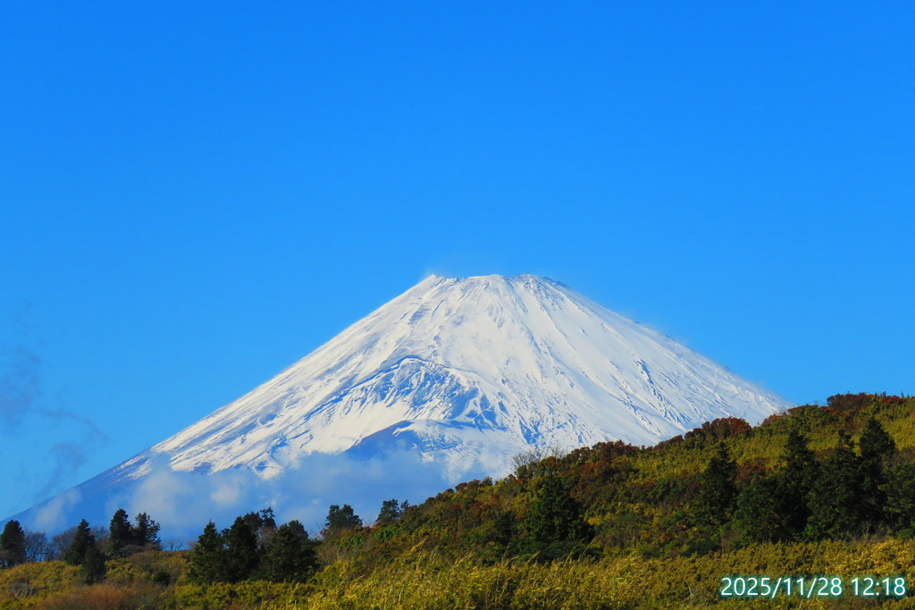 クルマ好き集まれ
